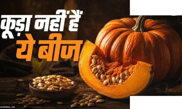 कद्दू के बीज: फेंकें मत, खाएं और कमाएं