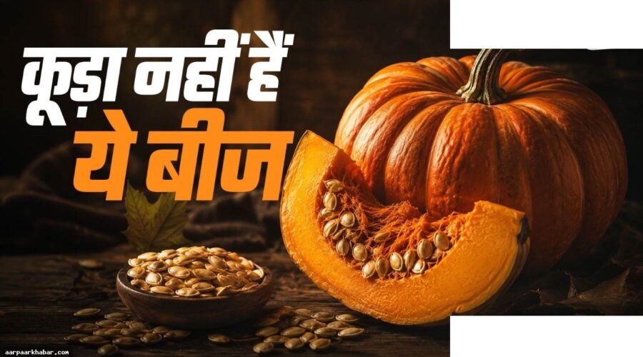 कद्दू के बीज: फेंकें मत, खाएं और कमाएं
