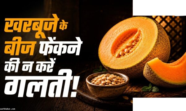 खरबूजे के बीज के फायदे और घरेलू उपयोग