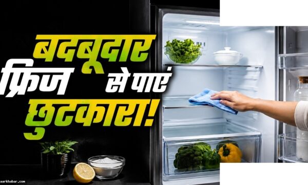 गर्मियों में फ्रिज की बदबू दूर करें सस्ते नुस्खे से