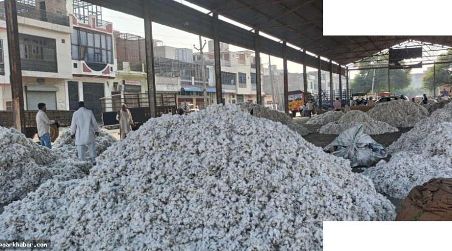 मानसून देरी से कपास-सोयाबीन की बुआई पिछड़ी