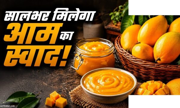 गर्मियों बाद भी आम का स्वाद, फ्रीजर स्टोरेज ट्रिक्स