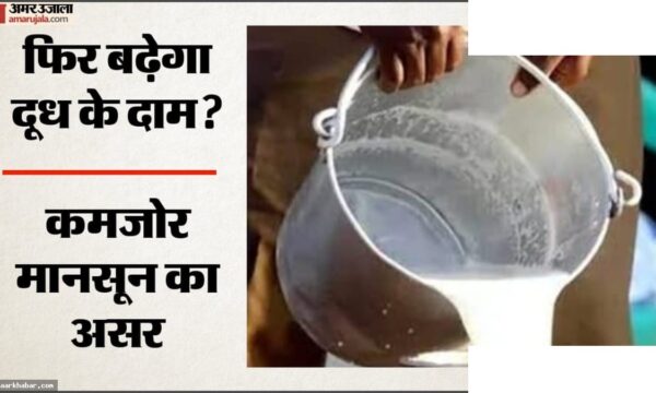 दूध के दाम बढ़ने के संकेत, कमजोर मानसून का असर