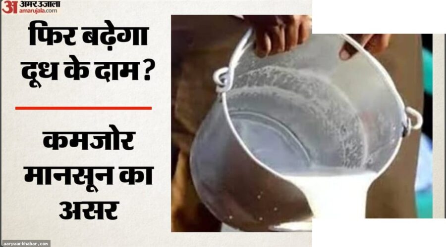 दूध के दाम बढ़ने के संकेत, कमजोर मानसून का असर