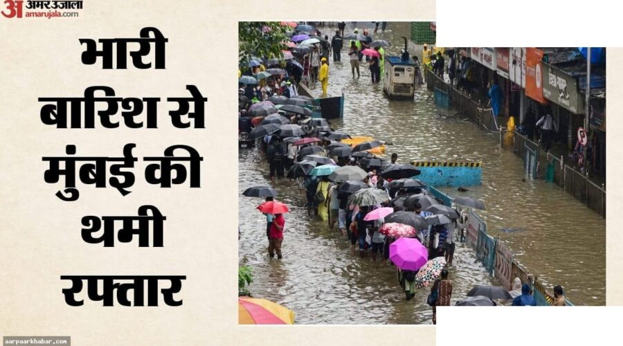 मुंबई बारिश: सांताक्रूज में पेड़ गिरने से 8 घायल