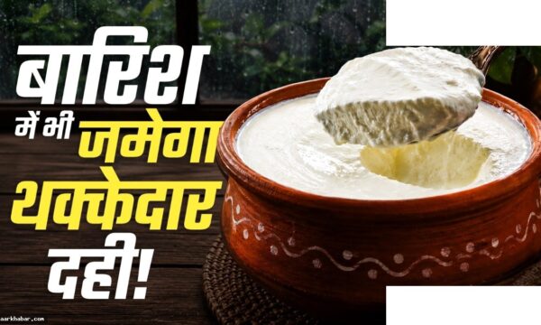 बरसात में दही जमाने के आसान घरेलू ट्रिक्स