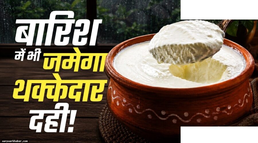 बरसात में दही जमाने के आसान घरेलू ट्रिक्स