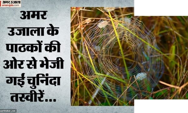 विश्व फोटोग्राफी दिवस 2026: एक क्लिक में जिंदगी