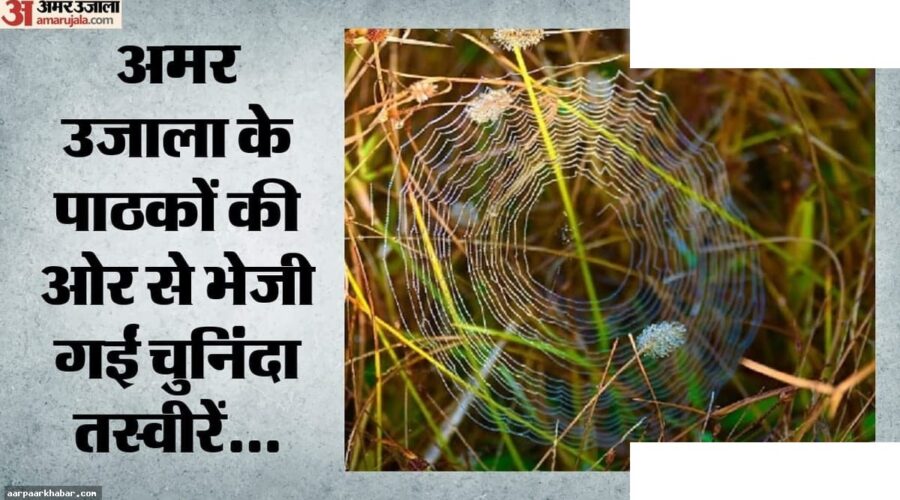 विश्व फोटोग्राफी दिवस 2026: एक क्लिक में जिंदगी