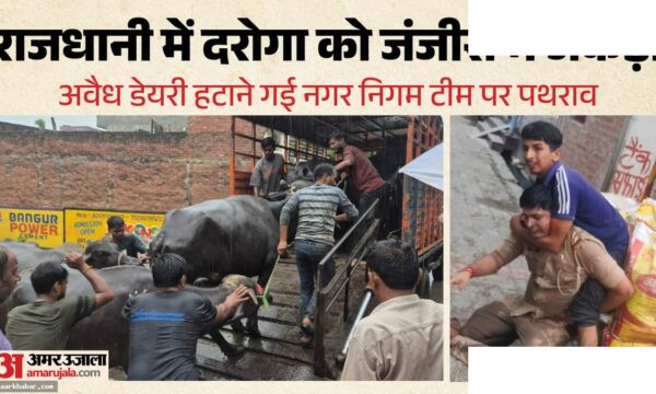 लखनऊ में दरोगा पर हमला, 24 पर मुकदमा, 200 भैंसें जब्त