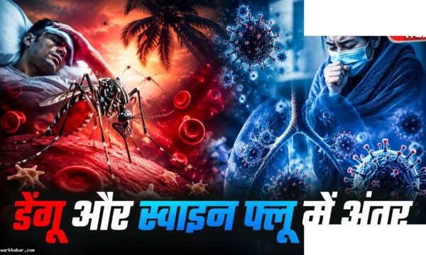 डेंगू या स्वाइन फ्लू? AIIMS डॉक्टर ने बताया अंतर