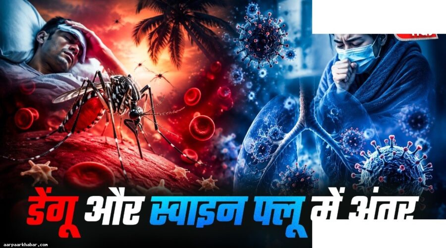 डेंगू या स्वाइन फ्लू? AIIMS डॉक्टर ने बताया अंतर