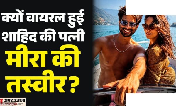 मीरा राजपूत इटली वेकेशन: यूजर्स ने क्यों कहा बीजेपी पगलू