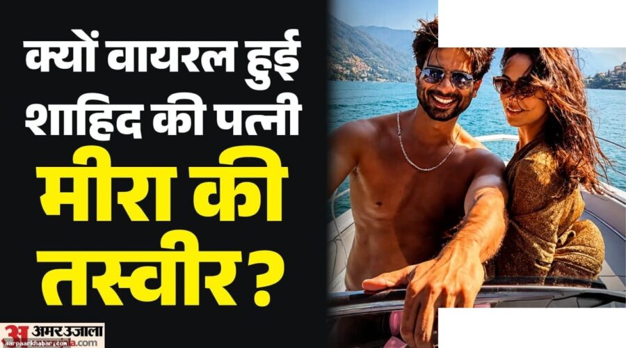 मीरा राजपूत इटली वेकेशन: यूजर्स ने क्यों कहा बीजेपी पगलू