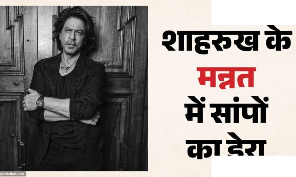 शाहरुख खान के मन्नत में दो सांप; रेस्क्यू ऑपरेशन