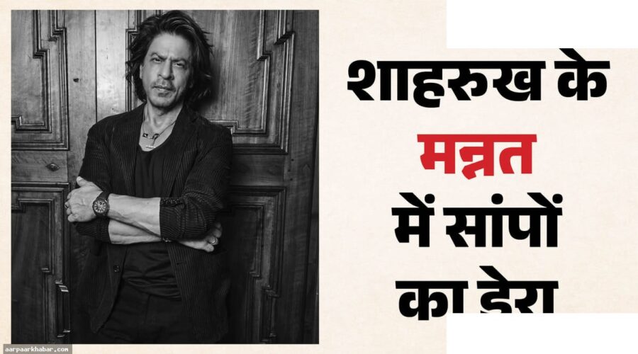 शाहरुख खान के मन्नत में दो सांप; रेस्क्यू ऑपरेशन