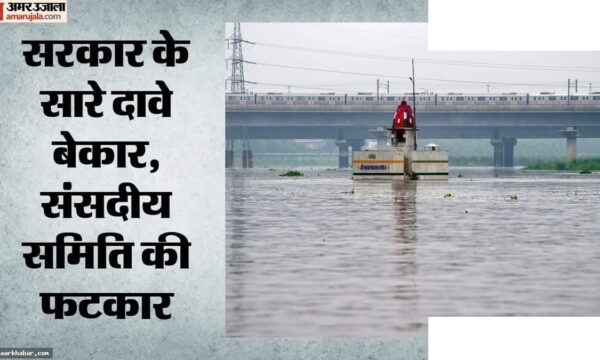 दिल्ली की हवा और यमुना प्रदूषण पर समिति की रिपोर्ट