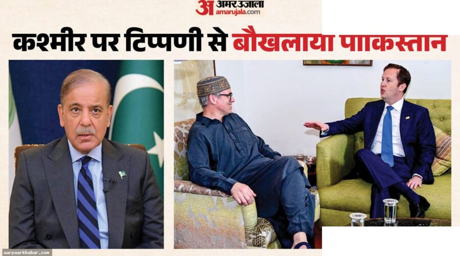 पाकिस्तान ने सर्जियो गोर की कश्मीर टिप्पणी पर जताया विरोध