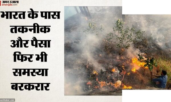 उत्तराखंड में जंगल की आग के अलर्ट, सिर्फ 12.5% सही